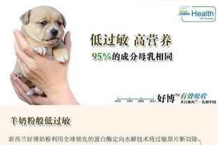 养宠新知 7天以上幼犬专用奶粉，健康成长的营养守护星