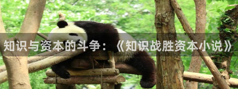 息壤中文网在线阅读