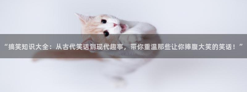 息壤中文网