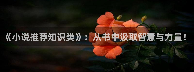 息壤中文网首页